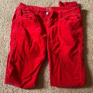 Tripp NYC corduroy skinny jeans.